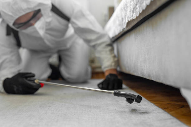 Professional Termite Control technician working in Granite Hills, CA